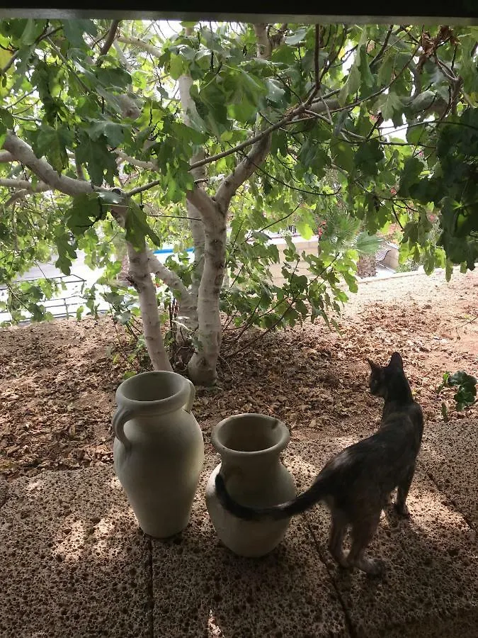 Casa di campagna Finca El Cortijo San Miguel de Abona Spagna